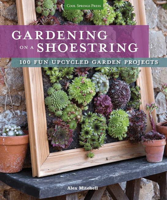 Gardening on a Shoestring